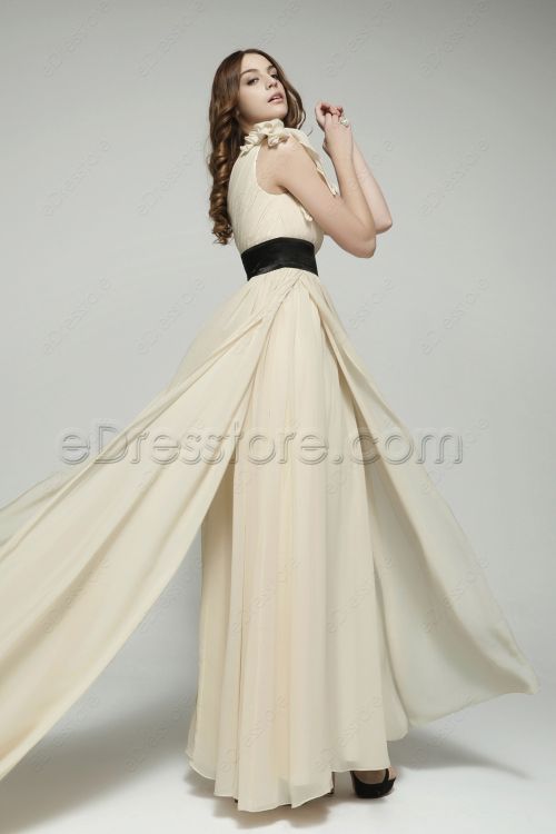 Elegant One Shoulder Champagne Formal Evening Dresses